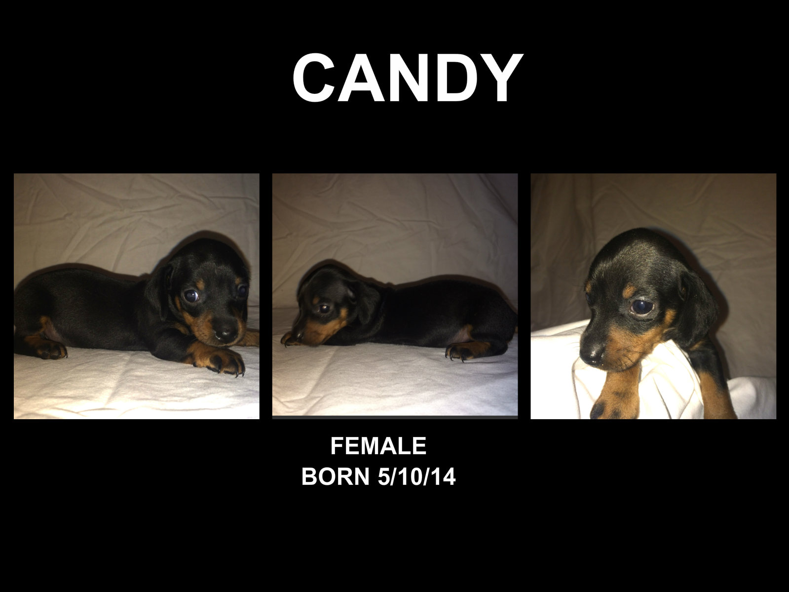 candy.jpg
